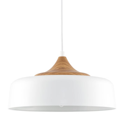 Deylin 1 - Light Dome Pendant