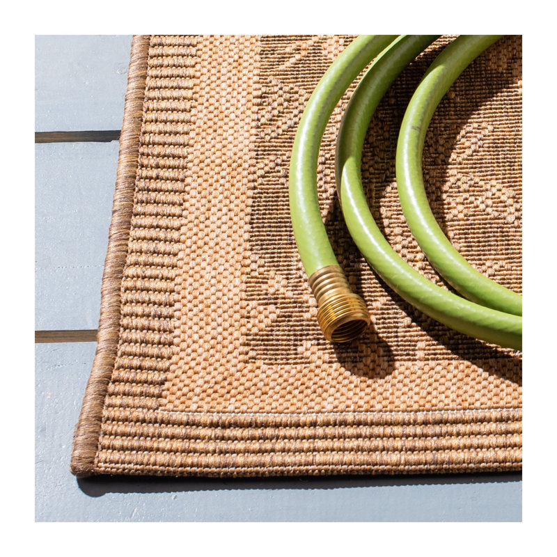 Davonia Performance Geometric Indoor/Outdoor Area Rug, Rectangle 2'7" x 5'