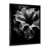 Cadre photo noir