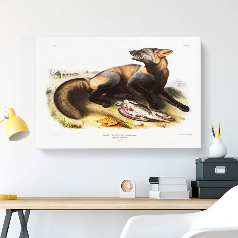 American Cross-Fox by J.W. Audubon - Wrapped Canvas, 35cm H x 50cm W x 3cm D