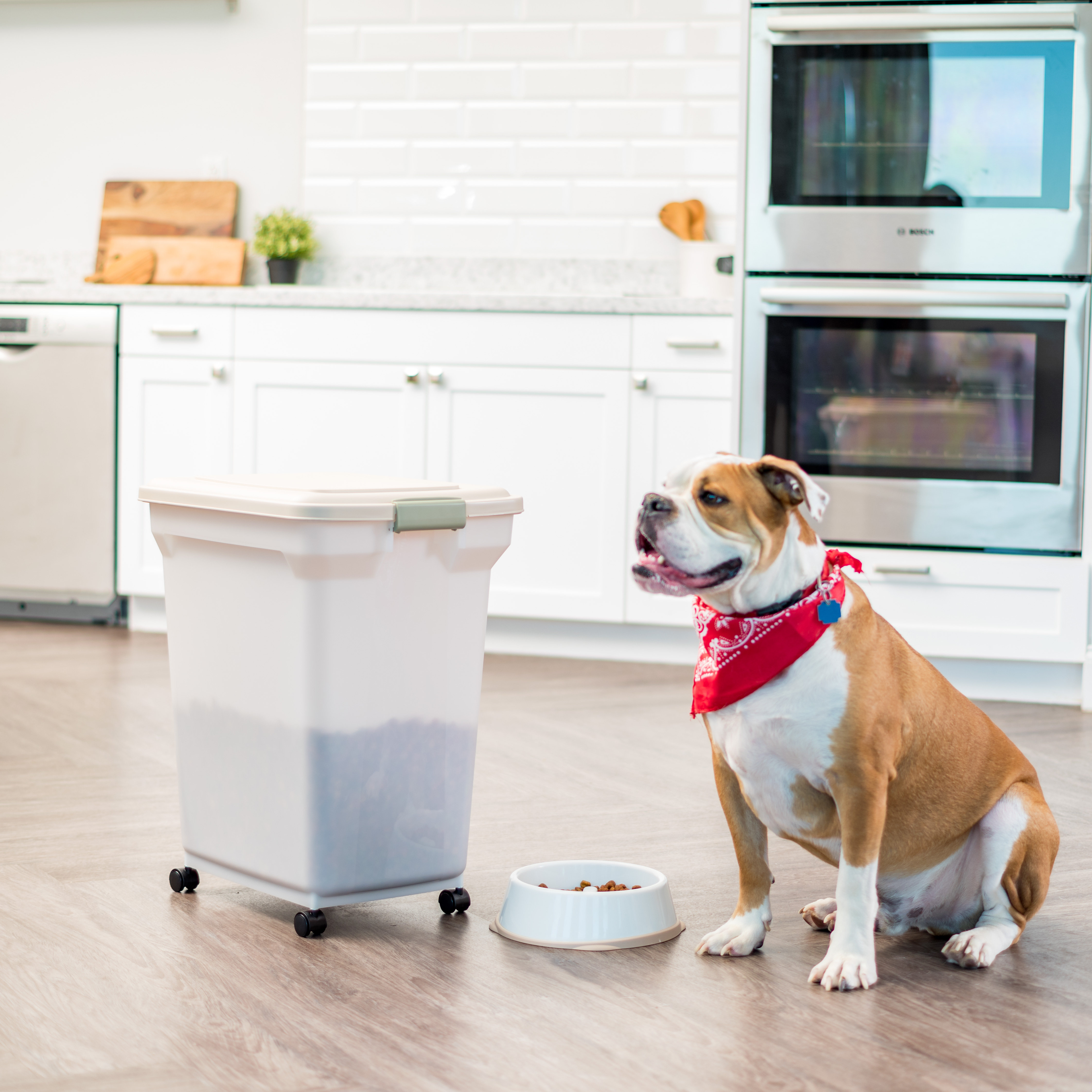 IRIS Food Storage Container & Reviews Wayfair