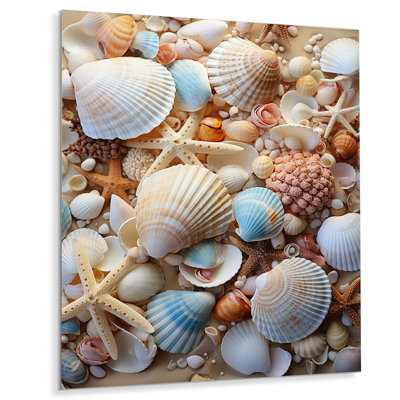 Décoration murale plage photo coquillage beauté I - animaux