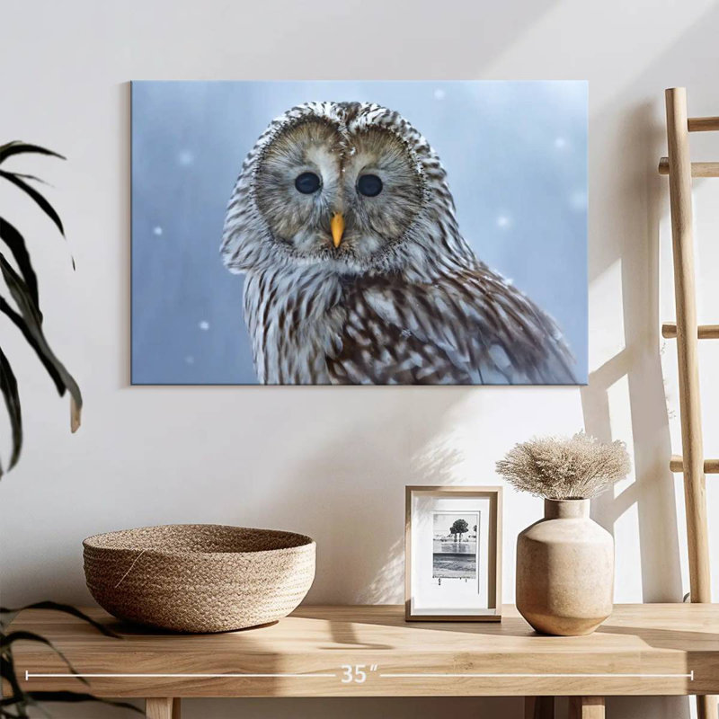 Chouette de l'Oural Brampt dans la neige, H 16 po x l 24 po