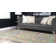 Glasser Ikat Indoor Rug