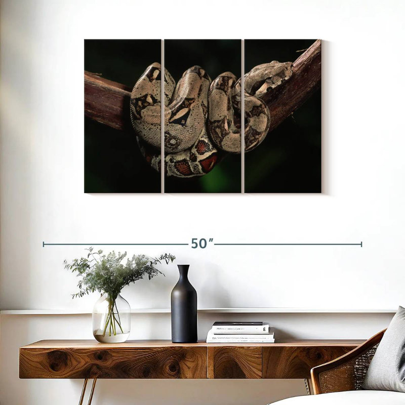 Boa Constrictor, 24" H x 38" W