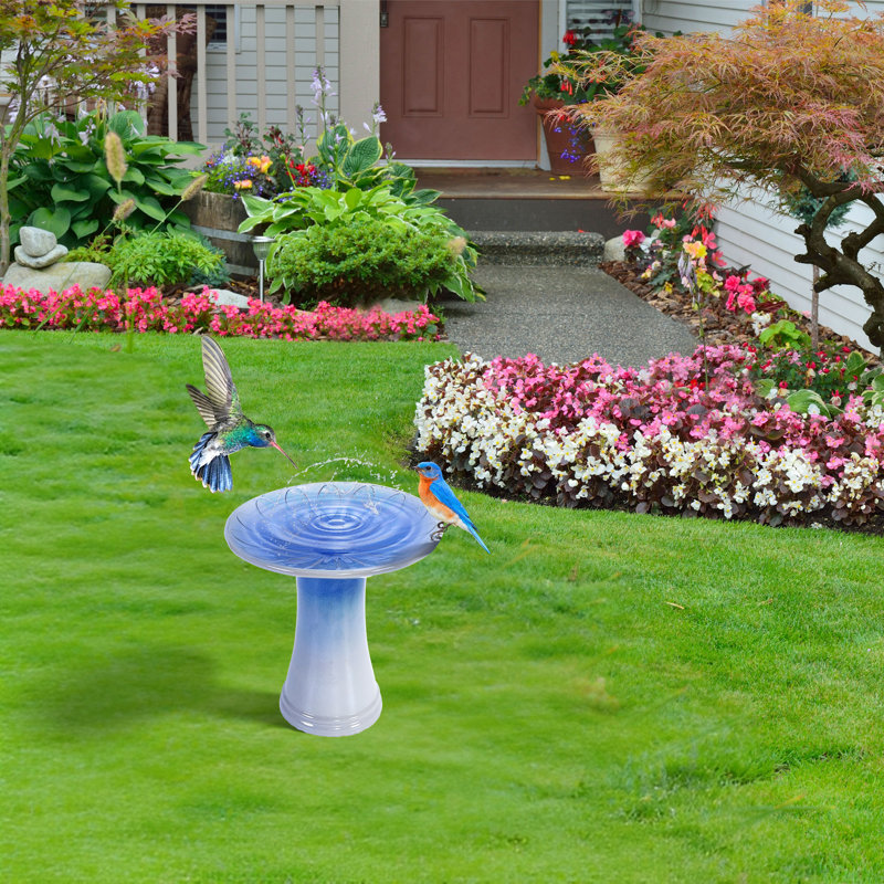 Jolis jardins extérieurs élégants en céramique