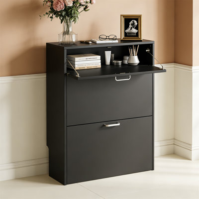 10 Pair Shoe Storage Cabinet