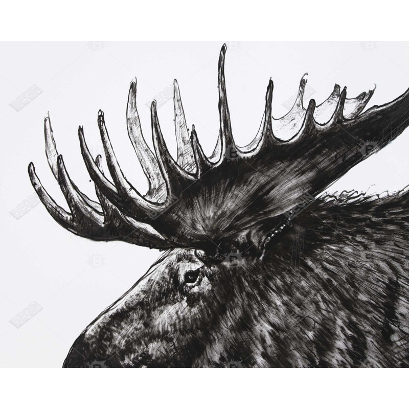 Plume d'orignal - Toile Hygge pour animaux de compagnie