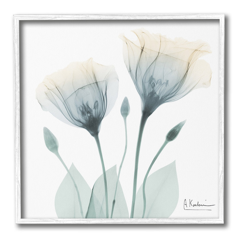 OpaqueTulipDuoGicleeArtbyAlbertKoetsier, Coastal White Framed Giclee, 24" H x 24" W