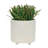 S/2 6/8" TEXTURED PLANTERS, SHINY WHITE-2054606802