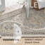 Tapis oriental beige intérieur / extérieur Jalen-834782489
