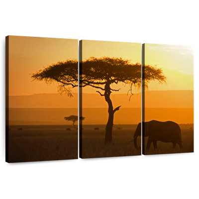 Lone Elephant
