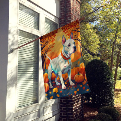 Drapeau de maison en polyester à double face H 40 po x l 28 po