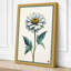 White Daisy Study Botanical - Wrapped Canvas-955399259-955399261