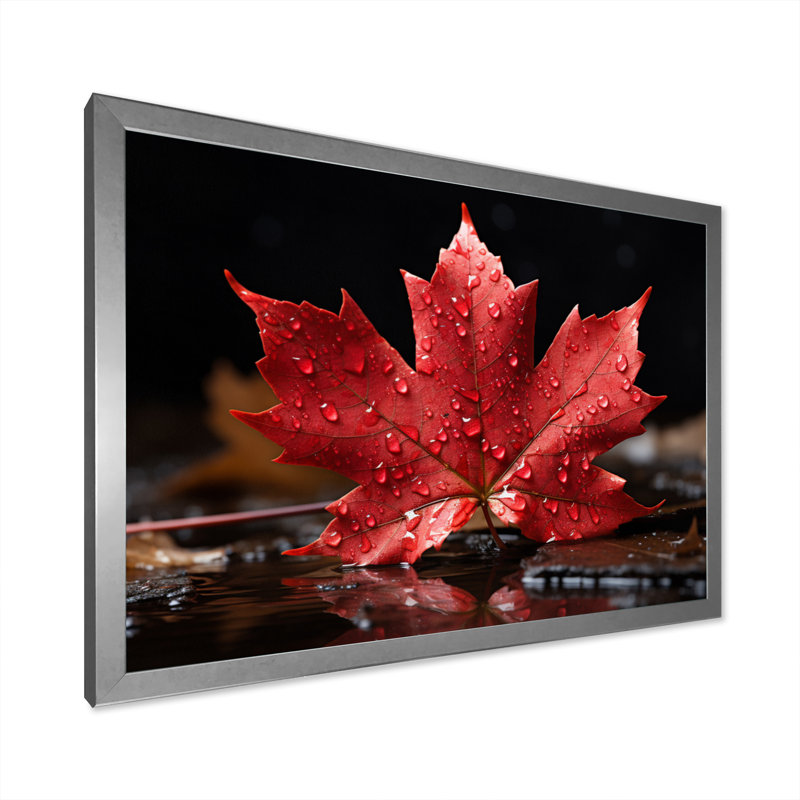 Canada Canada Pride III, H 12 po x l 20 po x P 1 po, Argent