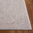Reflection Performance Oriental Indoor Rug-1702064976
