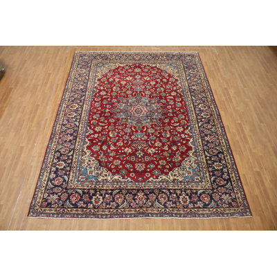 Traditional Area Rug 10x13