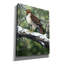 «Red Tailed Hawk» par William Vanderdasson-101511390