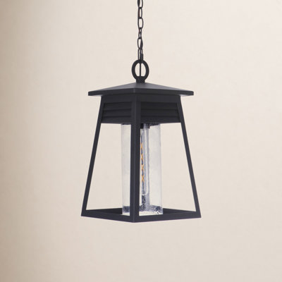 Becca Seeded Outdoor Metal Hanging Lantern