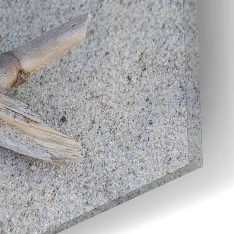 «Heart and Feather Beach Still» par Andrea Haase - impression sans cadre, H 12 po x l 16 po