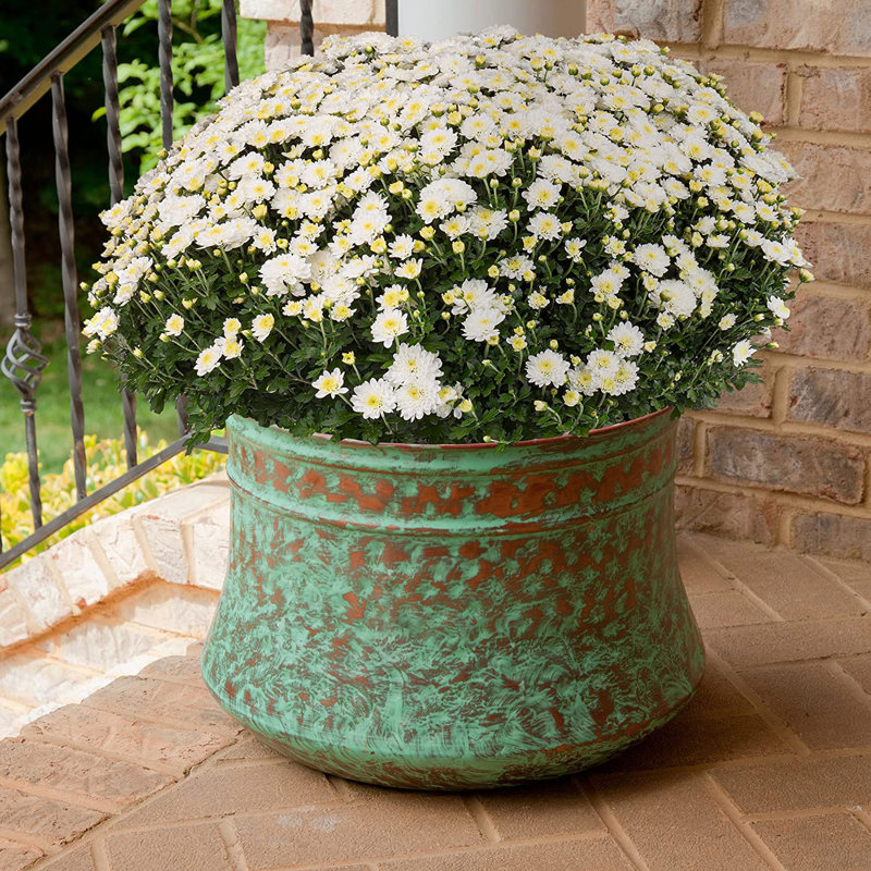 Steel Hose Pot