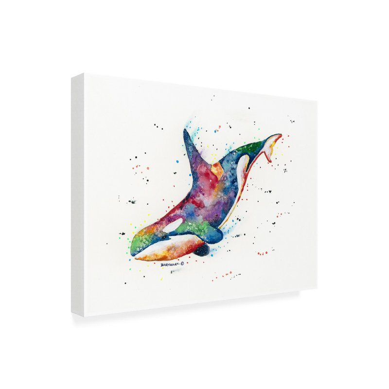 «Dave Bartholet Rainbow Orca», art sur toile, H 14 po x l 19 po