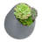 Gigee Ceramic Wall Planter-923211544
