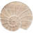 DeSoto Nautilus Shell Step Stool