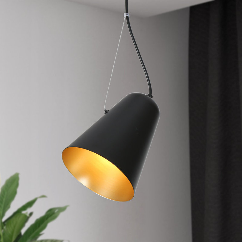 Luminaire suspendu simple à 1 lumière