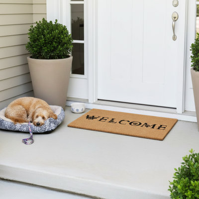 Danelis Non-Slip Doormat