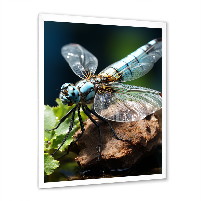 Libellule blanche, vol d'insectes - animaux, impressions sur toile, H 20 po x l 12 po x P 1 po, Cadre photo blanc
