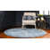 Rosamonde Oriental Indoor Rug