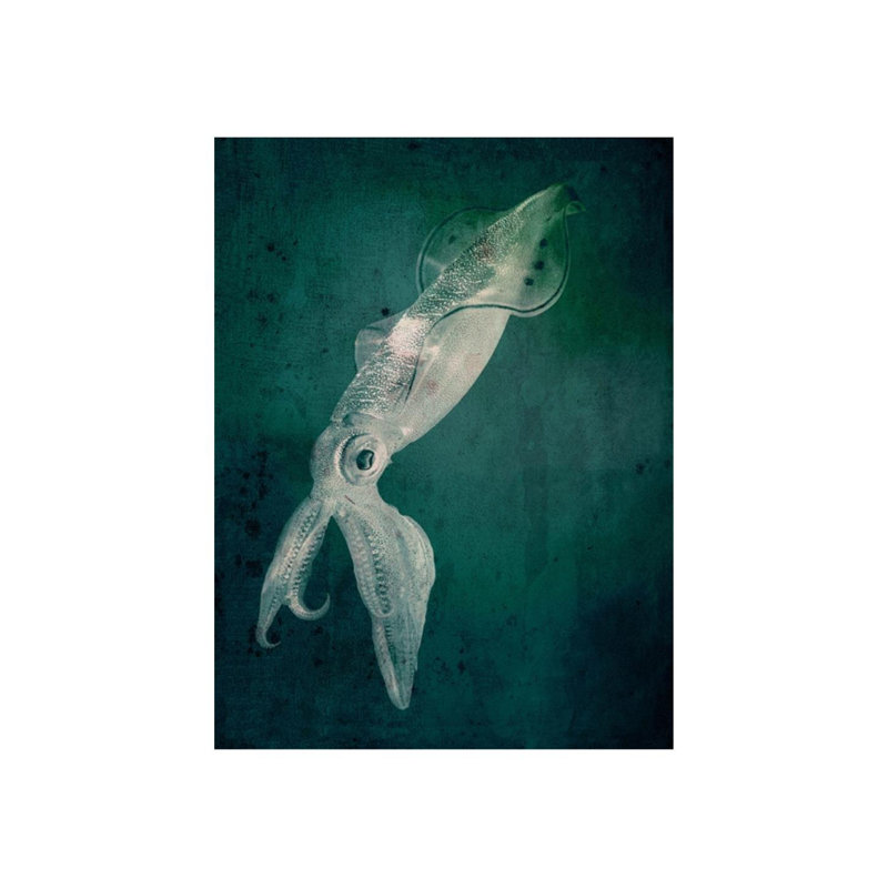 Marine Collection IV Print by GI Lab, 48" H x 36" W, Outdoor