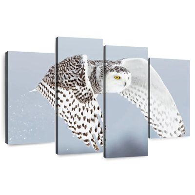 White Snowy Owl