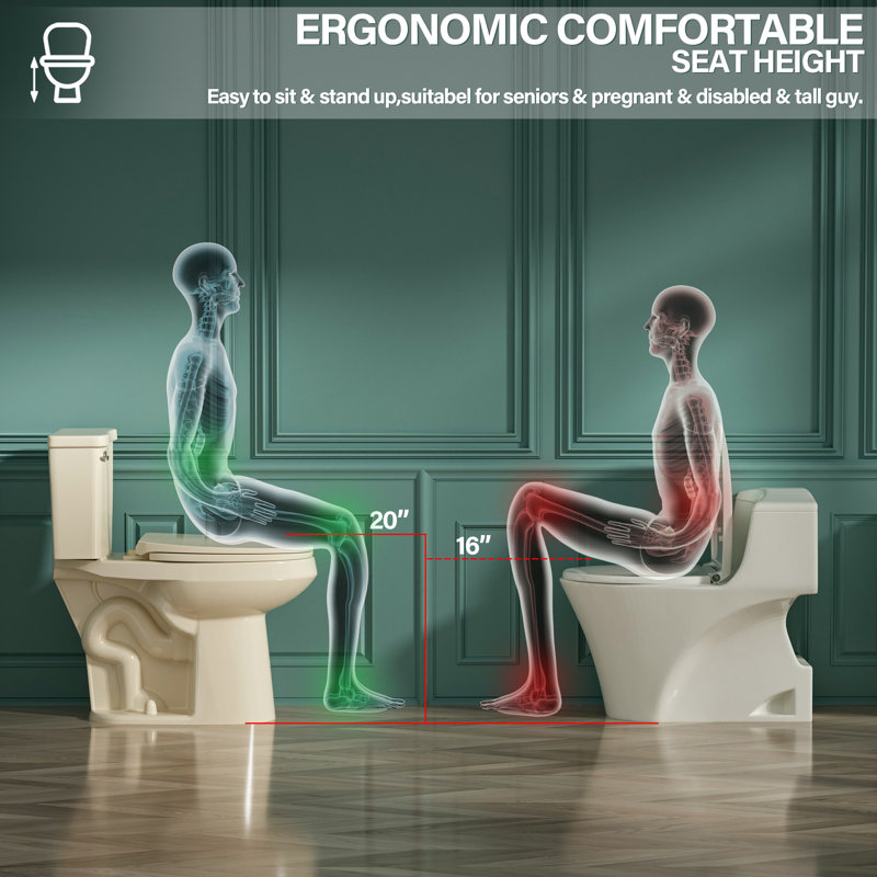 Aguamaph 20 in. White Elongated Two-Piece Toilet with Seat