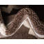 Tapis brun Cohleen-40287729