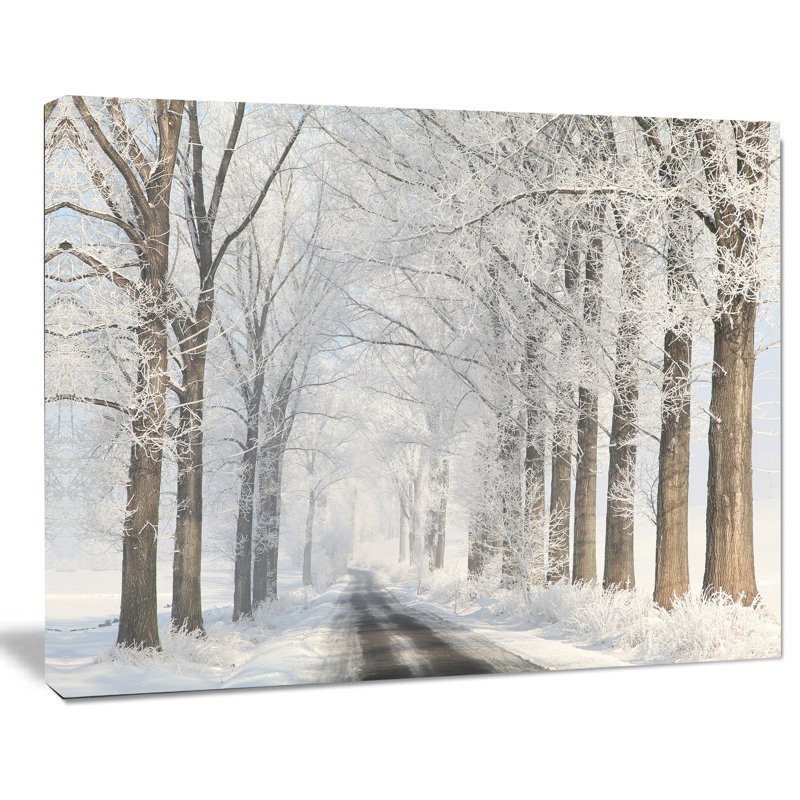 " Road Through Frosted Forest ", 8" H x 12" W x 1" D