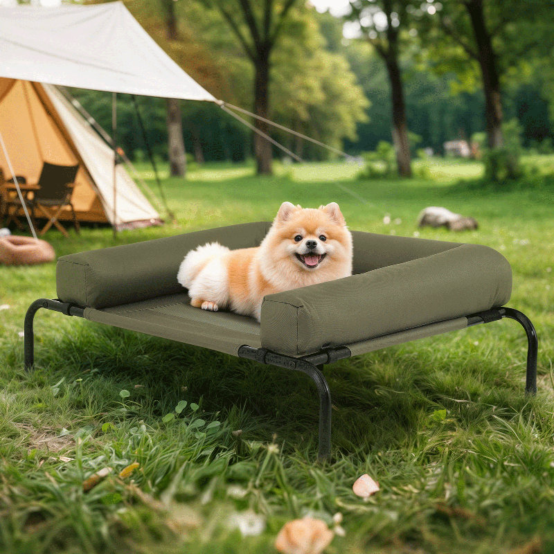 Elevated Dog Bed with Removable Cooling Cushion, Petit (l 35,5 po x P 25,5 po x H 7,5 po), Gris