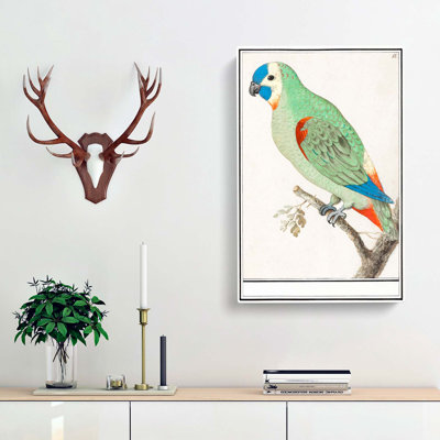 Amazon Parrot - Wrapped Canvas