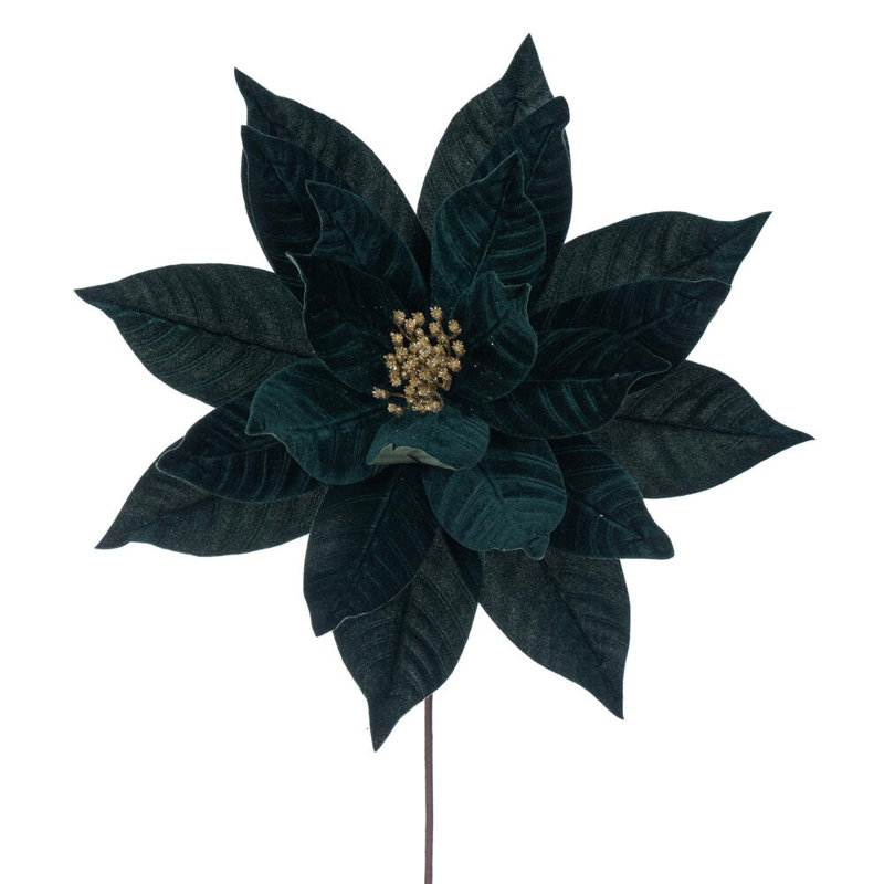 Tiges de poinsettia Clementina, Vert minuit