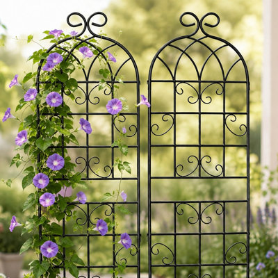 Ensemble de 2 treillis de jardin, support métallique pour plantes grimpantes (rosiers, vignes et jardinage extérieur)
