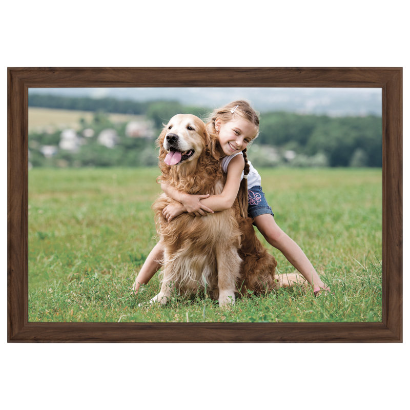 Grand cadre photo Gallery Solutions, Brun, 20 po x 30 po