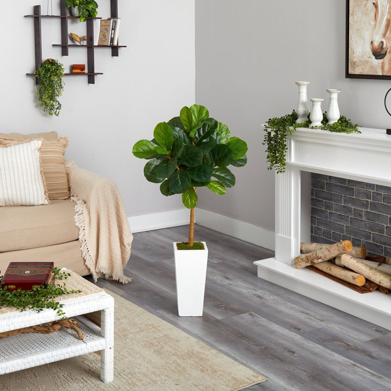 Fiddle Leaf Tree in White Tower Planter