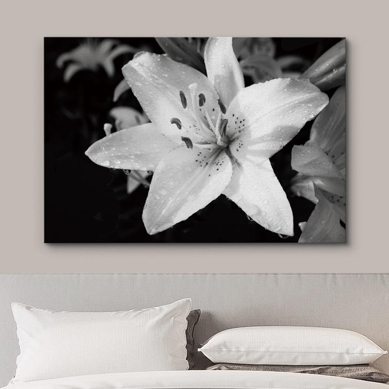 Bouquet de fleurs de lys, plantes florales en noir et blanc, gros plan rustique sur toile, H 24 po x l 36 po x P 1,5 po