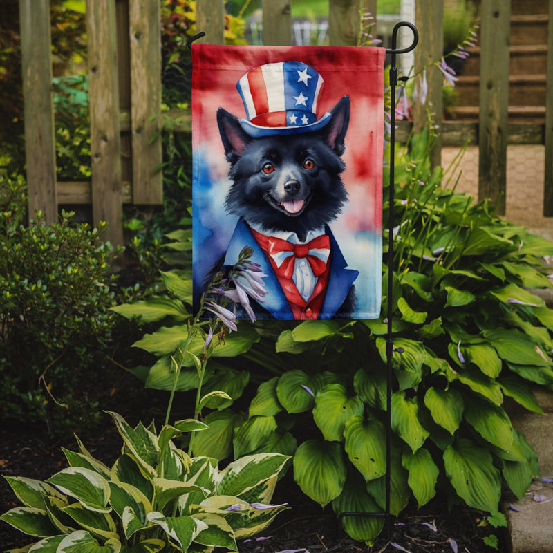 Drapeau patriotique du jardin américain, Schipperke