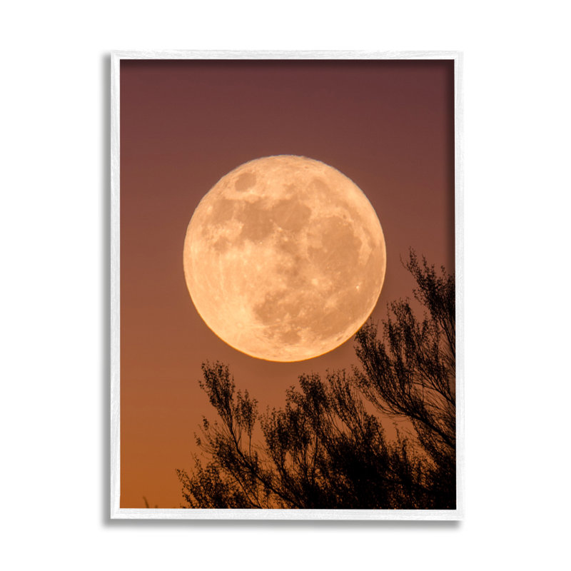 Pleine lune, branche d'arbre, silhouette, ciel d'automne par Birch & Ink - impression, H 14 po x l 11 po