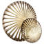 Spatial Wall Sconce