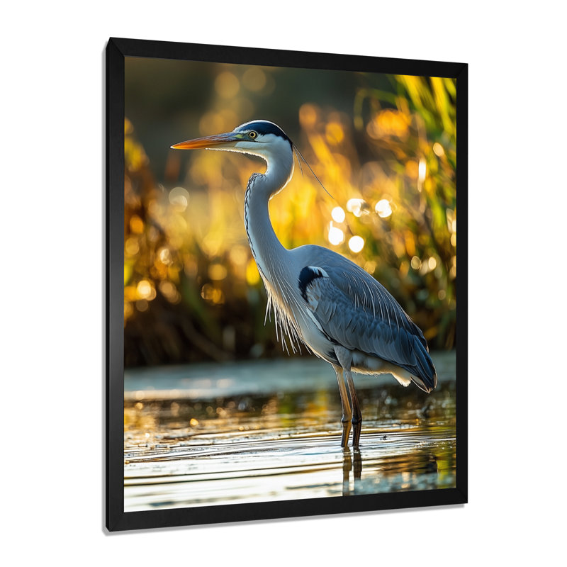 Ayaat - Animals Canvas Art Print, H 44 po x l 34 po, Picture Framed, Noir, noir, noir, noir