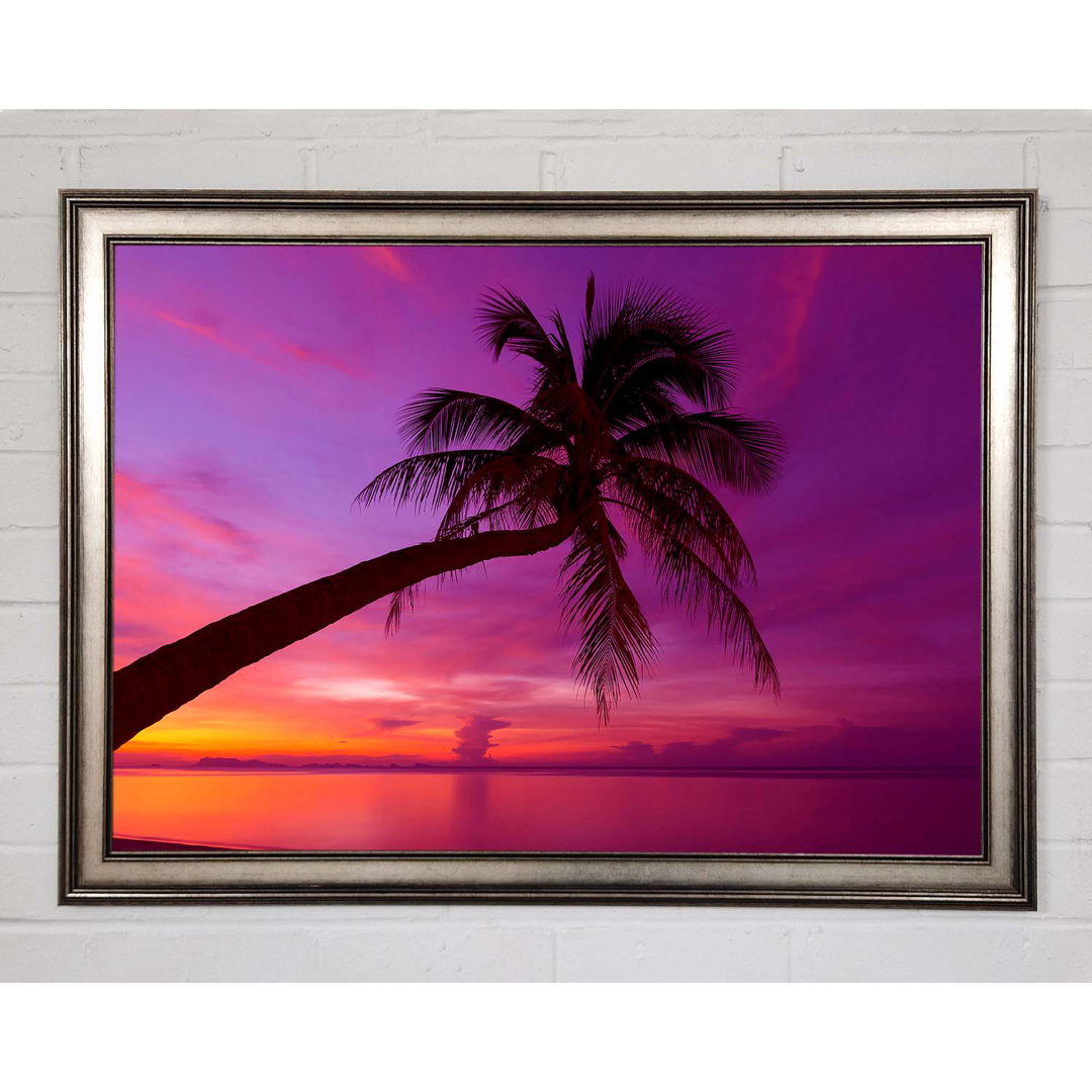 Gerahmtes Bild Palm Tree Skies