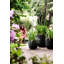 Plant Pot-72816958-72816962